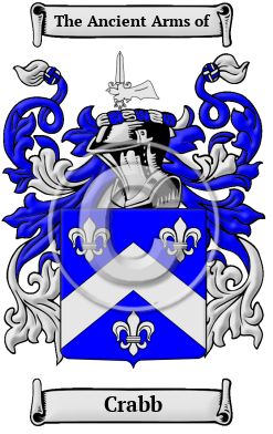 Crabb Family Crest Download (JPG) Heritage Series - 600 DPI