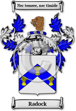 Radock Family Crest Download (JPG) Legacy Series - 600 DPI
