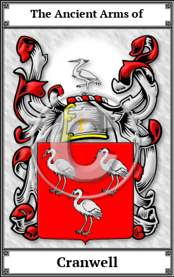 Cranwell Family Crest Download (JPG) Book Plated - 600 DPI