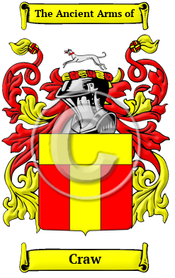 Craw Family Crest Download (JPG) Heritage Series - 600 DPI