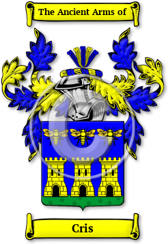 Cris Family Crest Download (JPG) Legacy Series - 600 DPI