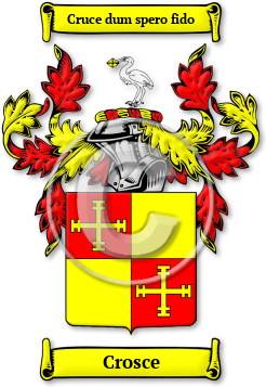 Crosce Family Crest Download (jpg) Legacy Series - 150 DPI