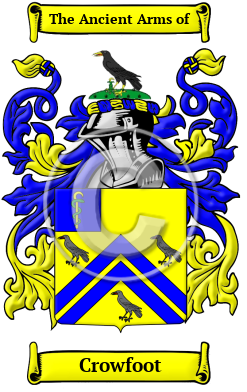 Crowfoot Name Meaning, Family History, Family Crest & Coats of Arms