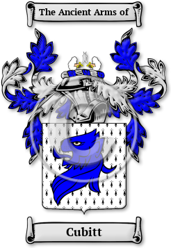 Cubitt Family Crest Download (jpg) Legacy Series - 150 DPI