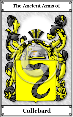 Collebard Family Crest Download (JPG)  Book Plated - 150 DPI