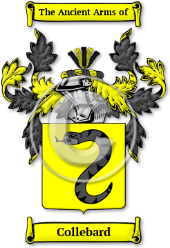 Collebard Family Crest Download (jpg) Legacy Series - 150 DPI
