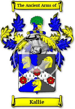 Kallie Family Crest Download (jpg) Legacy Series - 150 DPI