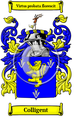 Colligent Family Crest/Coat of Arms