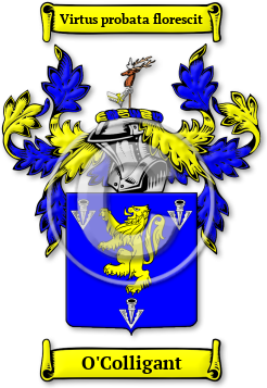 O'Colligant Family Crest Download (jpg) Legacy Series - 150 DPI