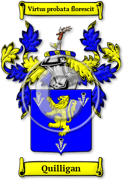 Quilligan Family Crest Download (jpg) Legacy Series - 150 DPI