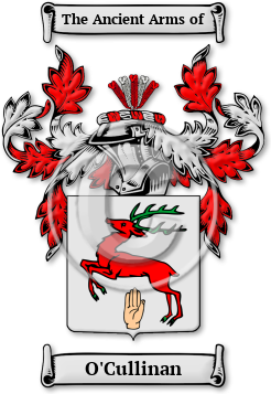 O'Cullinan Family Crest Download (jpg) Legacy Series - 150 DPI