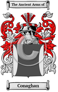 Conaghan Family Crest Download (JPG) Heritage Series - 600 DPI
