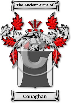 Conaghan Family Crest Download (jpg) Legacy Series - 150 DPI