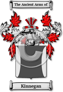 Kinnegan Family Crest Download (JPG) Legacy Series - 600 DPI