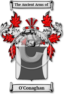 O'Conaghan Family Crest Download (JPG) Legacy Series - 600 DPI