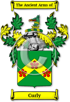 Curly Family Crest Download (jpg) Legacy Series - 150 DPI