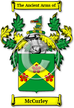 McCurley Family Crest Download (jpg) Legacy Series - 150 DPI