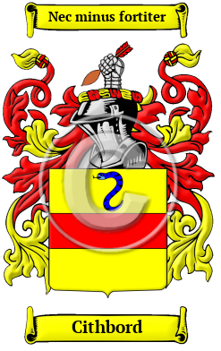Cithbord Family Crest/Coat of Arms