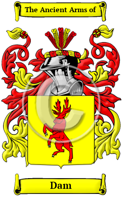 Dam Family Crest Download (JPG) Heritage Series - 600 DPI