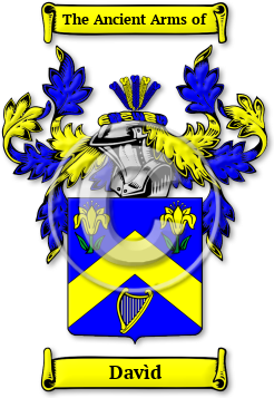 Davìd Family Crest Download (JPG) Legacy Series - 600 DPI