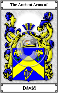 Dávid Family Crest Download (JPG)  Book Plated - 150 DPI