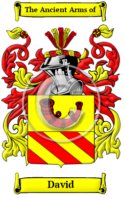 David Family Crest Download (JPG) Heritage Series - 600 DPI