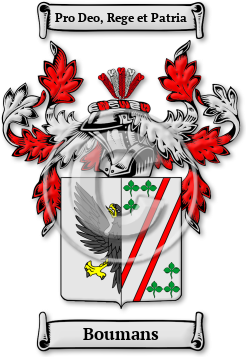 Boumans Family Crest Download (jpg) Legacy Series - 150 DPI