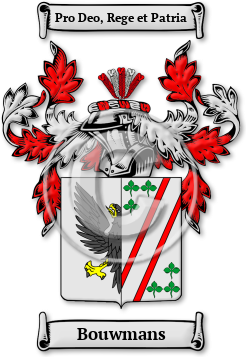 Bouwmans Family Crest Download (JPG) Legacy Series - 600 DPI