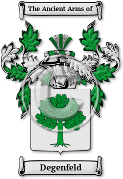 Degenfeld Family Crest Download (jpg) Legacy Series - 150 DPI