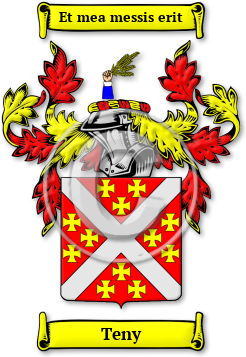 Teny Family Crest Download (jpg) Legacy Series - 150 DPI