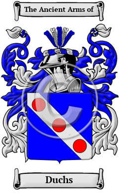 Duchs Family Crest/Coat of Arms