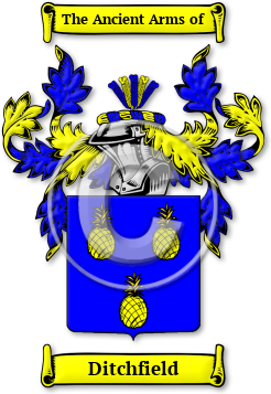 Ditchfield Family Crest Download (jpg) Legacy Series - 150 DPI