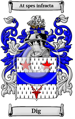 Dig Family Crest/Coat of Arms