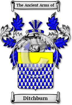 Ditchburn Family Crest Download (jpg) Legacy Series - 150 DPI