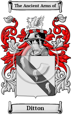 Ditton Family Crest/Coat of Arms