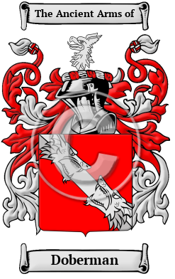 Doberman Family Crest Download (JPG) Heritage Series - 600 DPI