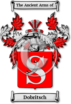 Dobritsch Family Crest Download (jpg) Legacy Series - 150 DPI