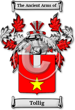 Tollig Family Crest Download (JPG) Legacy Series - 600 DPI