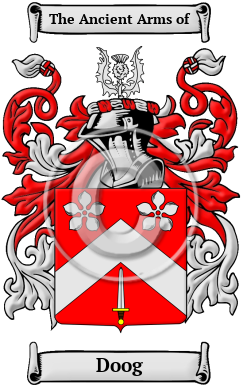 Doog Family Crest/Coat of Arms