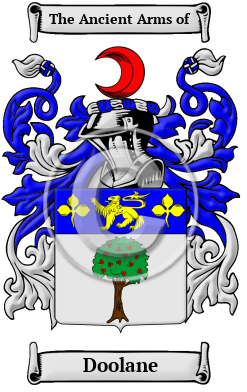 Doolane Family Crest/Coat of Arms