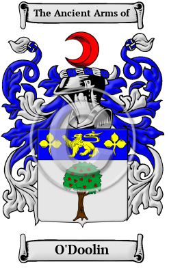 O'Doolin Family Crest/Coat of Arms