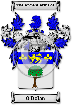 O'Dolan Family Crest Download (jpg) Legacy Series - 150 DPI