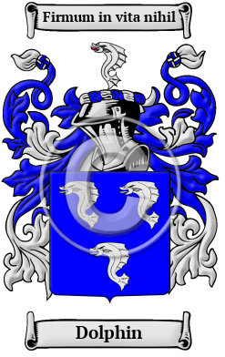 Dolphin Family Crest Download (JPG) Heritage Series - 600 DPI