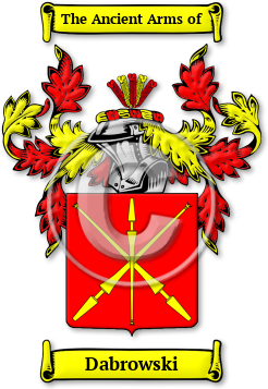 Dabrowski Family Crest Download (jpg) Legacy Series - 150 DPI