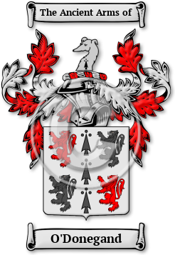 O'Donegand Family Crest Download (JPG) Legacy Series - 600 DPI