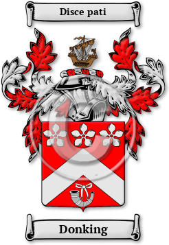 Donking Family Crest Download (jpg) Legacy Series - 150 DPI
