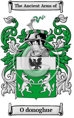 O donoghue Family Crest/Coat of Arms