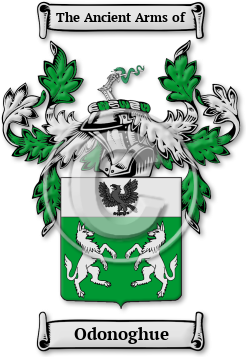 Odonoghue Family Crest Download (jpg) Legacy Series - 150 DPI