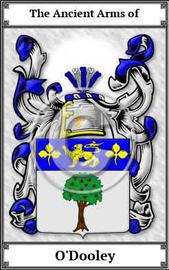 O'Dooley Family Crest Download (JPG) Book Plated - 600 DPI