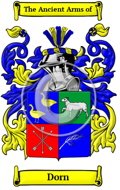 Dorn Family Crest Download (JPG) Heritage Series - 600 DPI